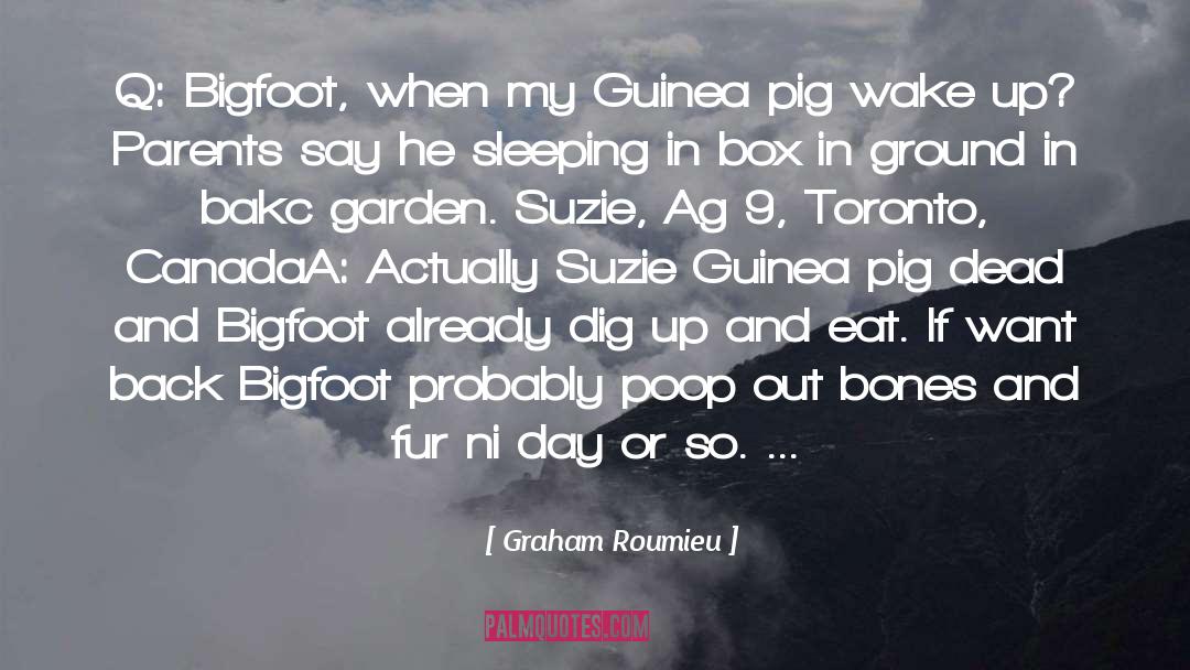 Bigfoot quotes by Graham Roumieu