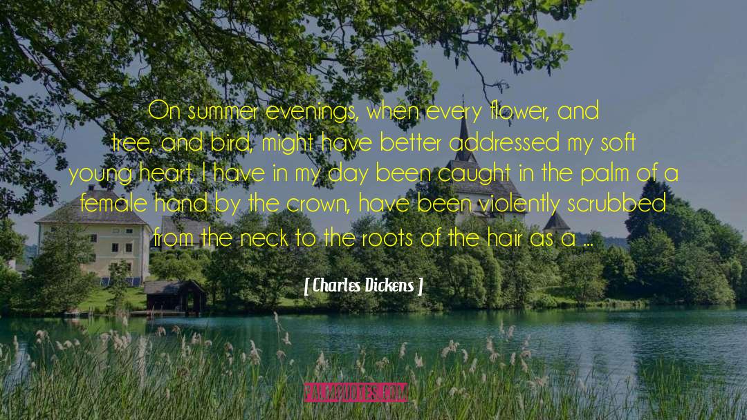 Bigger And Better quotes by Charles Dickens