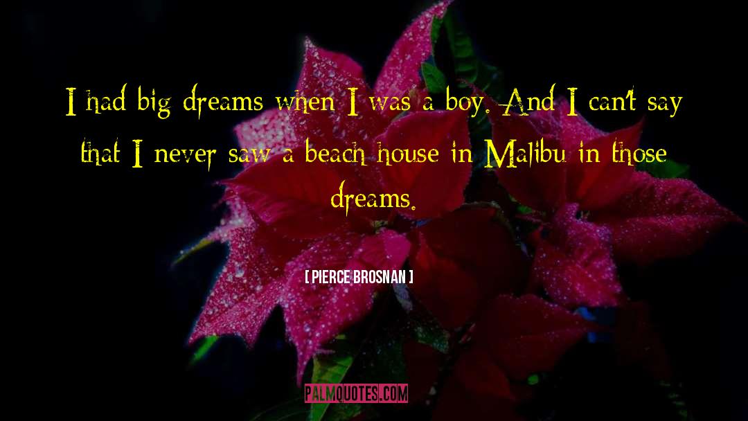 Bigger Dreams quotes by Pierce Brosnan