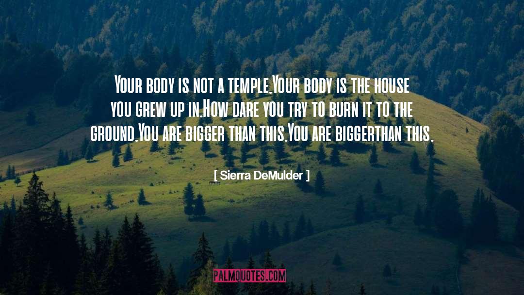 Bigger Photo quotes by Sierra DeMulder