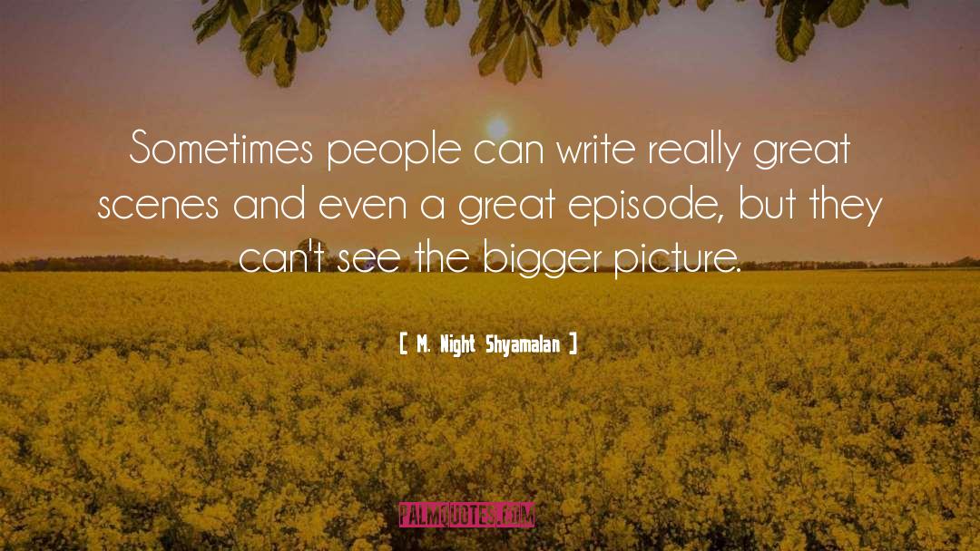 Bigger Picture quotes by M. Night Shyamalan