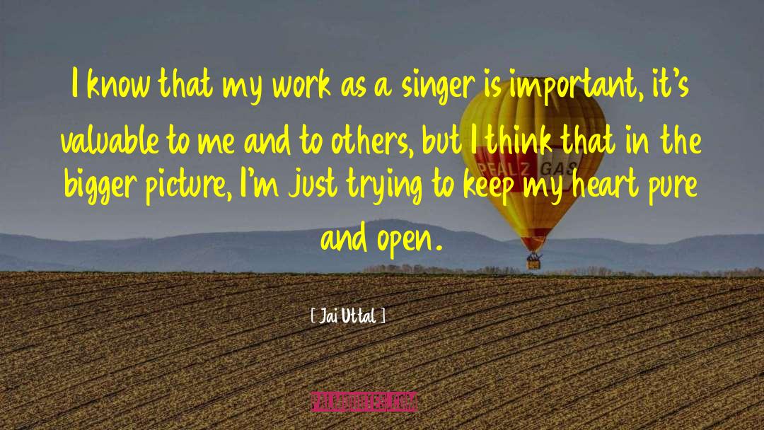 Bigger Picture quotes by Jai Uttal
