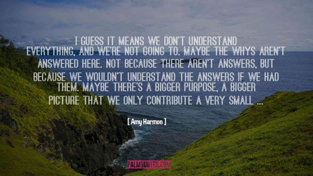 Bigger Picture quotes by Amy Harmon