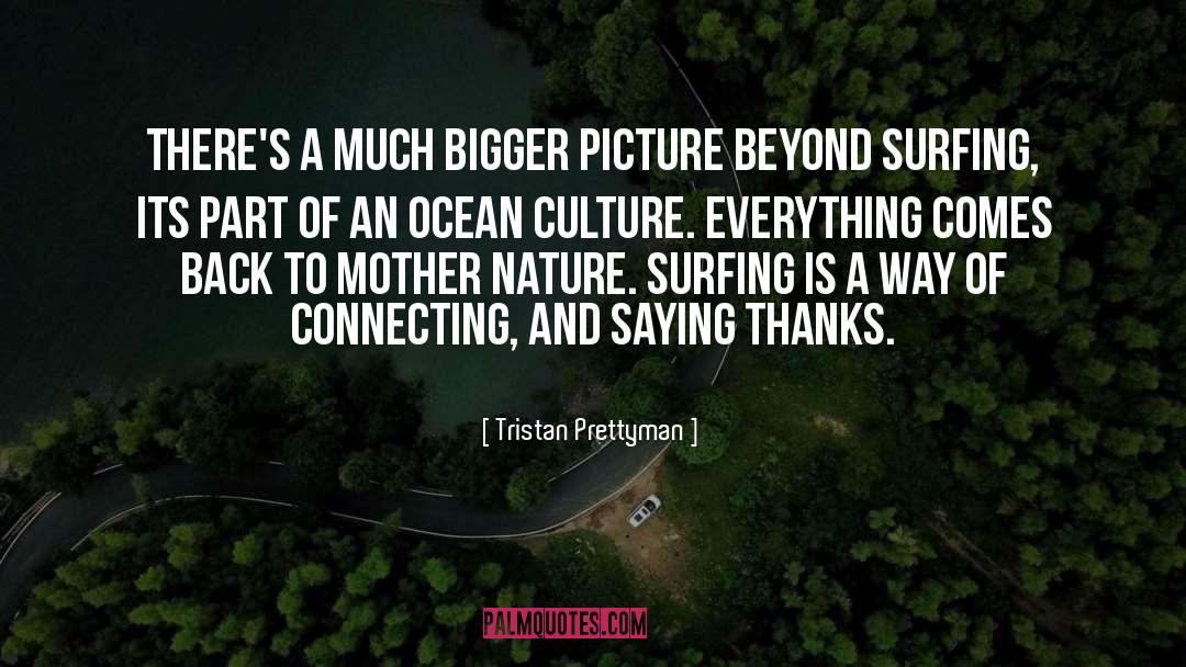 Bigger Picture quotes by Tristan Prettyman
