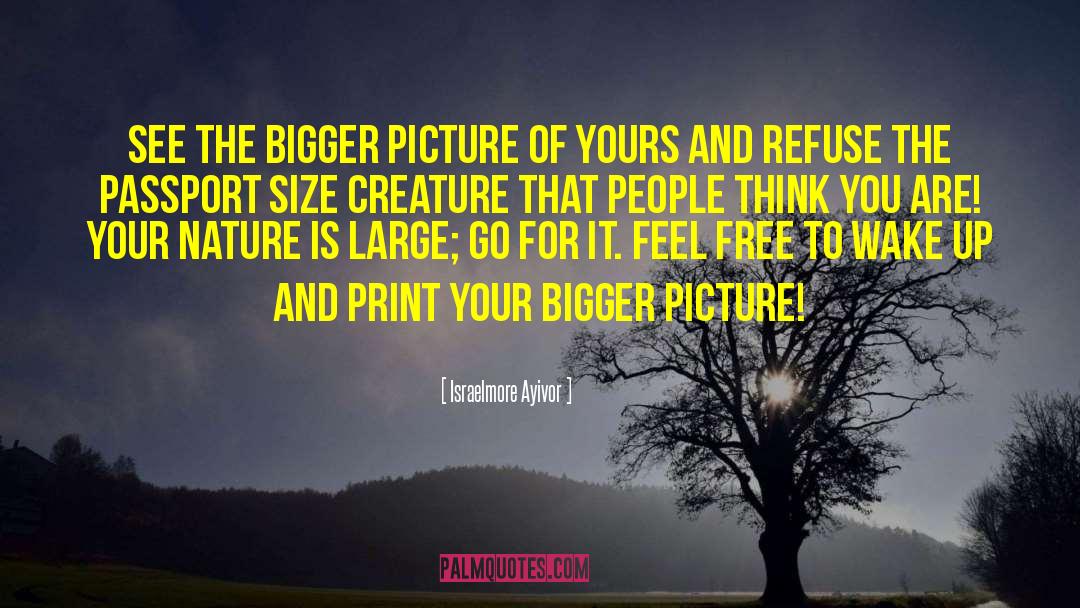 Bigger Picture quotes by Israelmore Ayivor