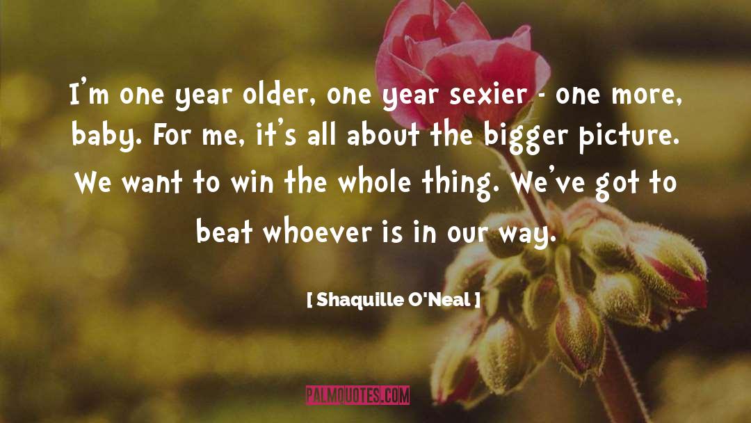 Bigger Picture quotes by Shaquille O'Neal