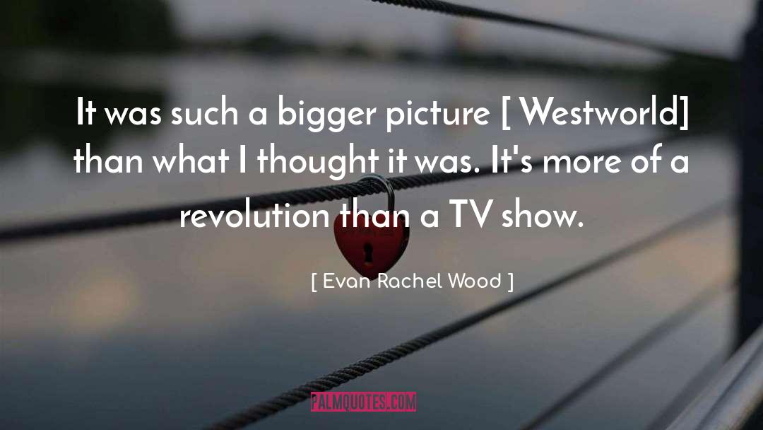 Bigger Picture quotes by Evan Rachel Wood