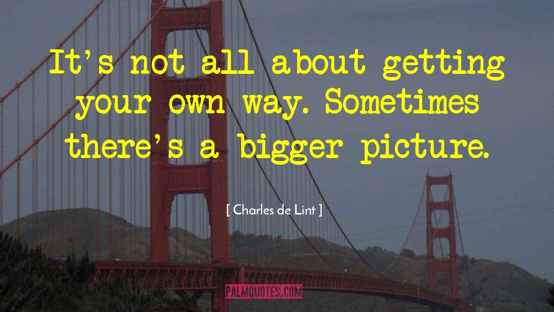 Bigger Picture quotes by Charles De Lint
