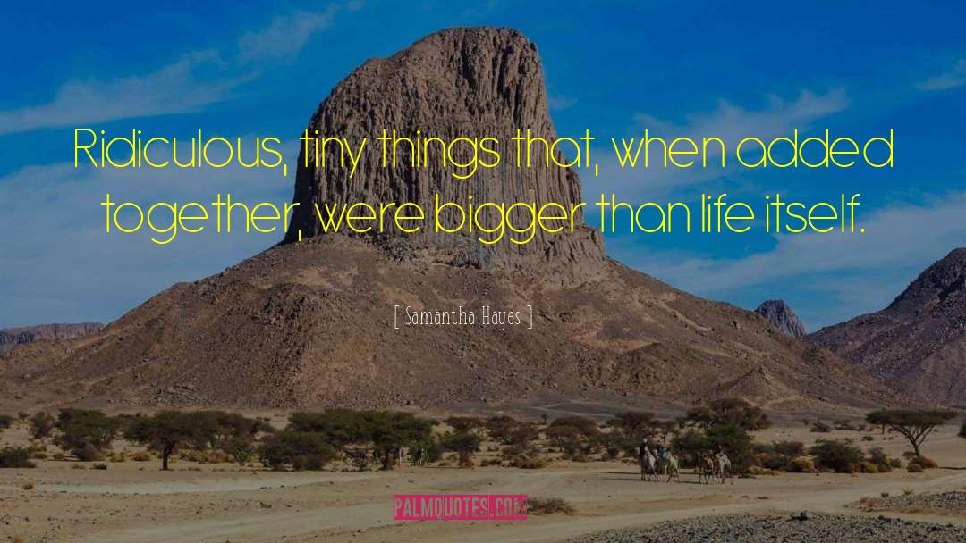Bigger Than Life quotes by Samantha Hayes