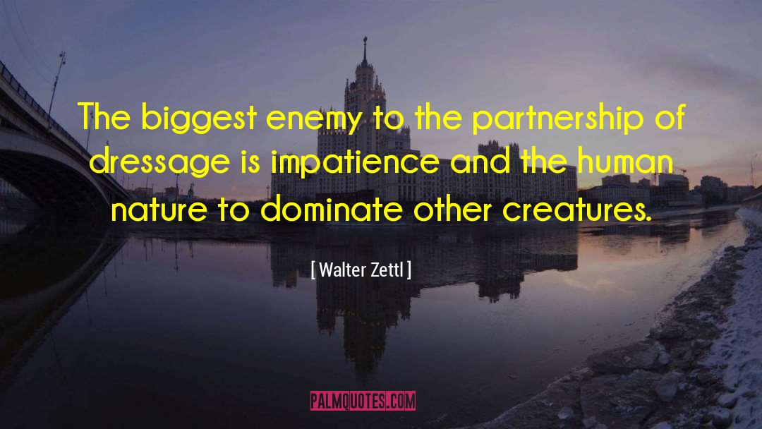 Biggest Enemy quotes by Walter Zettl