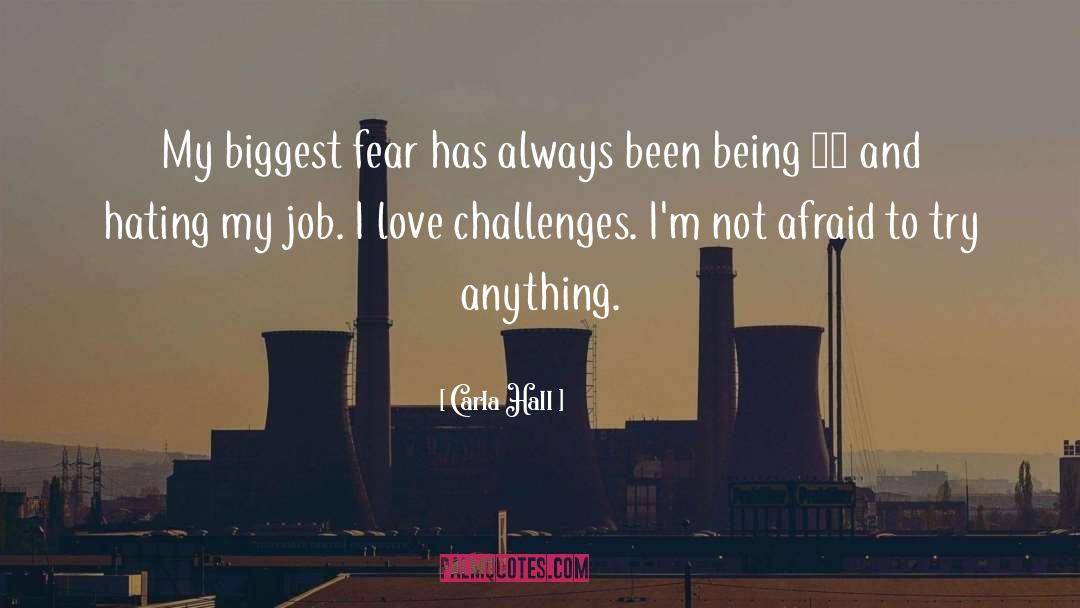 Biggest Fear quotes by Carla Hall
