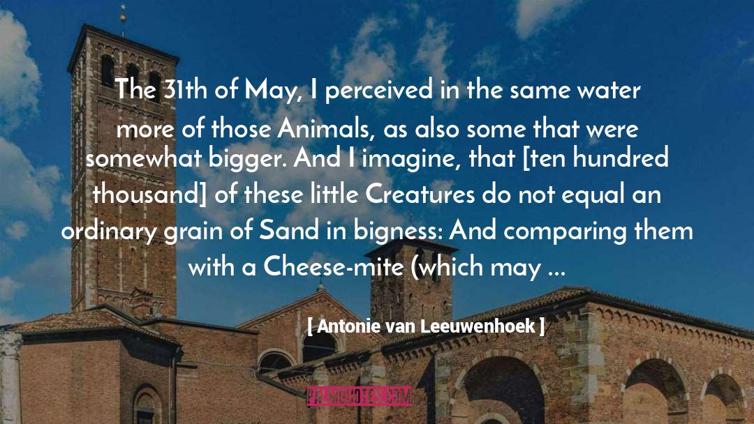Bigness quotes by Antonie Van Leeuwenhoek