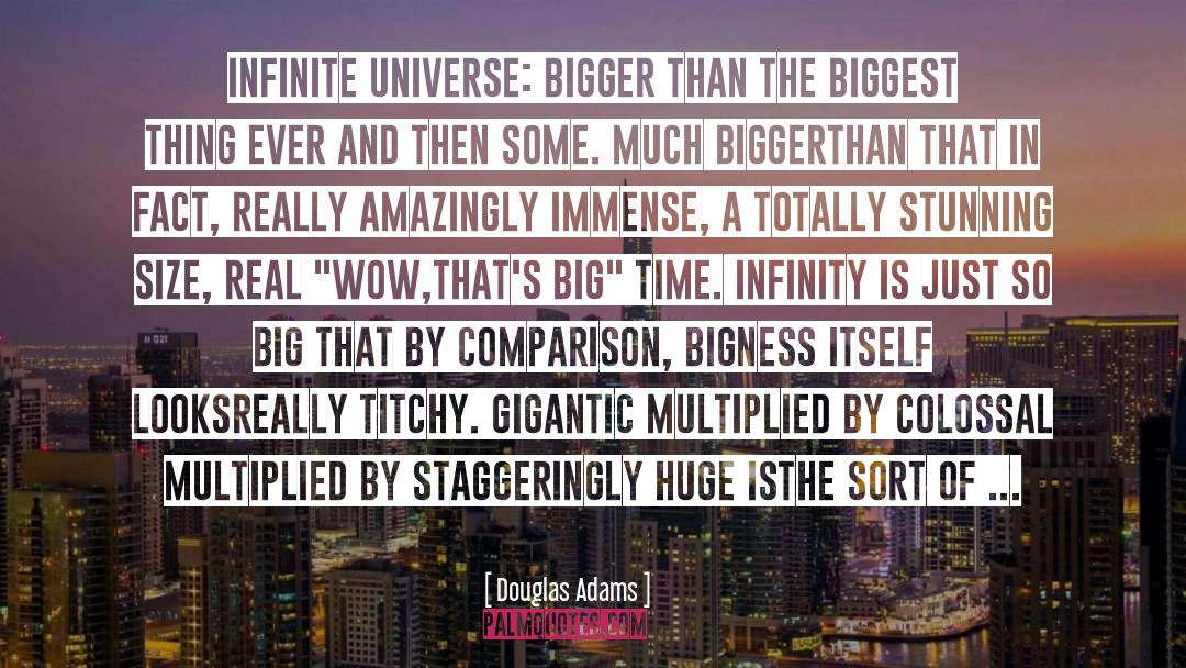 Bigness quotes by Douglas Adams