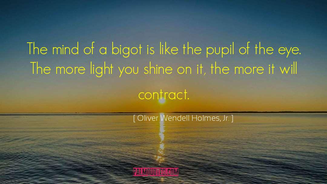 Bigot quotes by Oliver Wendell Holmes, Jr.