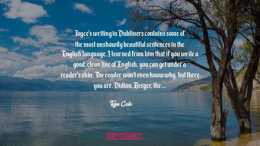 Bigotes In English quotes by Teju Cole