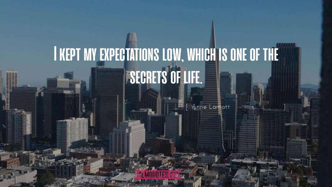 Bigotry Of Low Expectations quotes by Anne Lamott