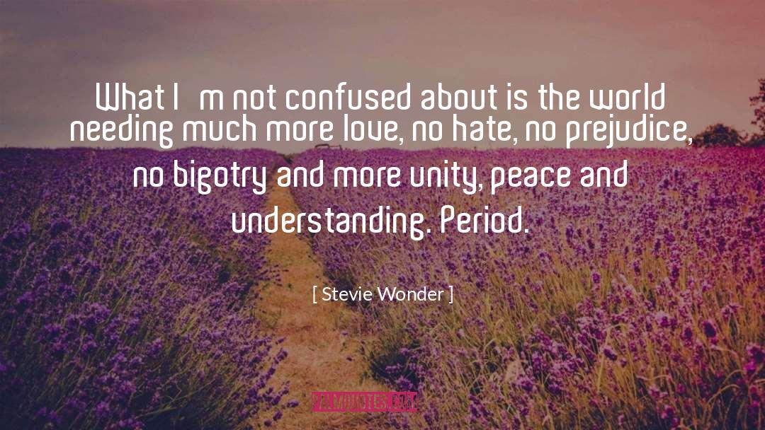 Bigotry quotes by Stevie Wonder