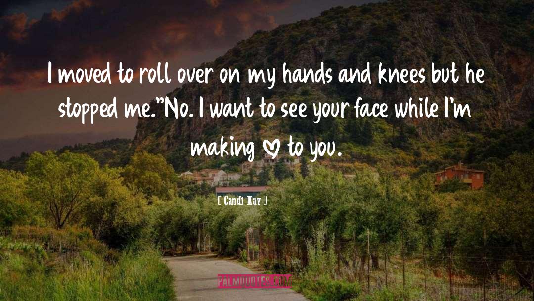 Biker Romance quotes by Candi Kay