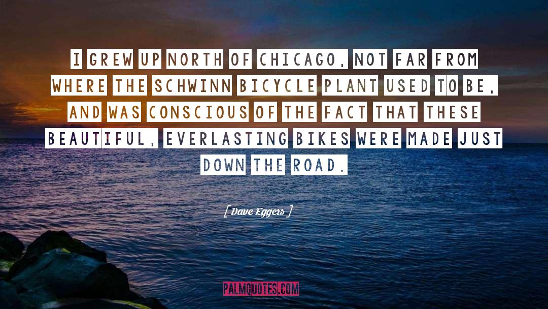 Bikes quotes by Dave Eggers