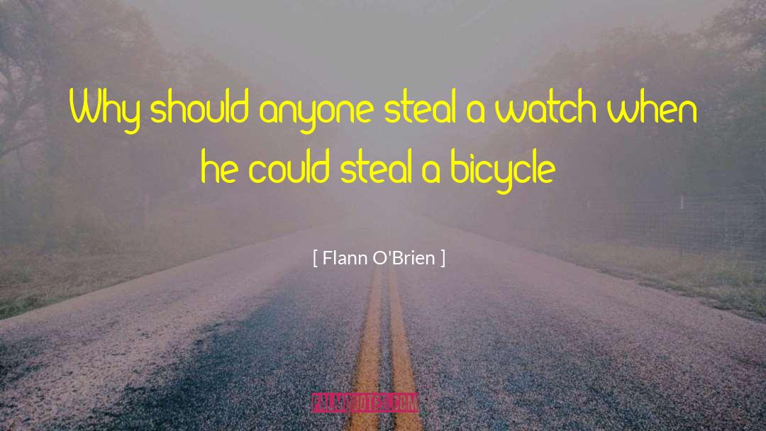 Biking quotes by Flann O'Brien