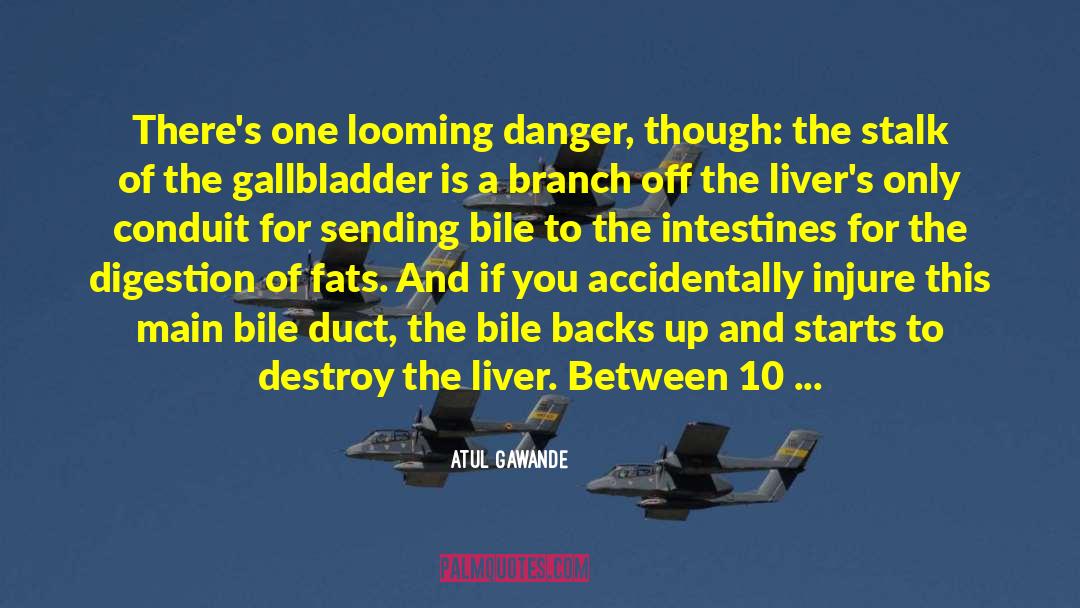 Bile quotes by Atul Gawande
