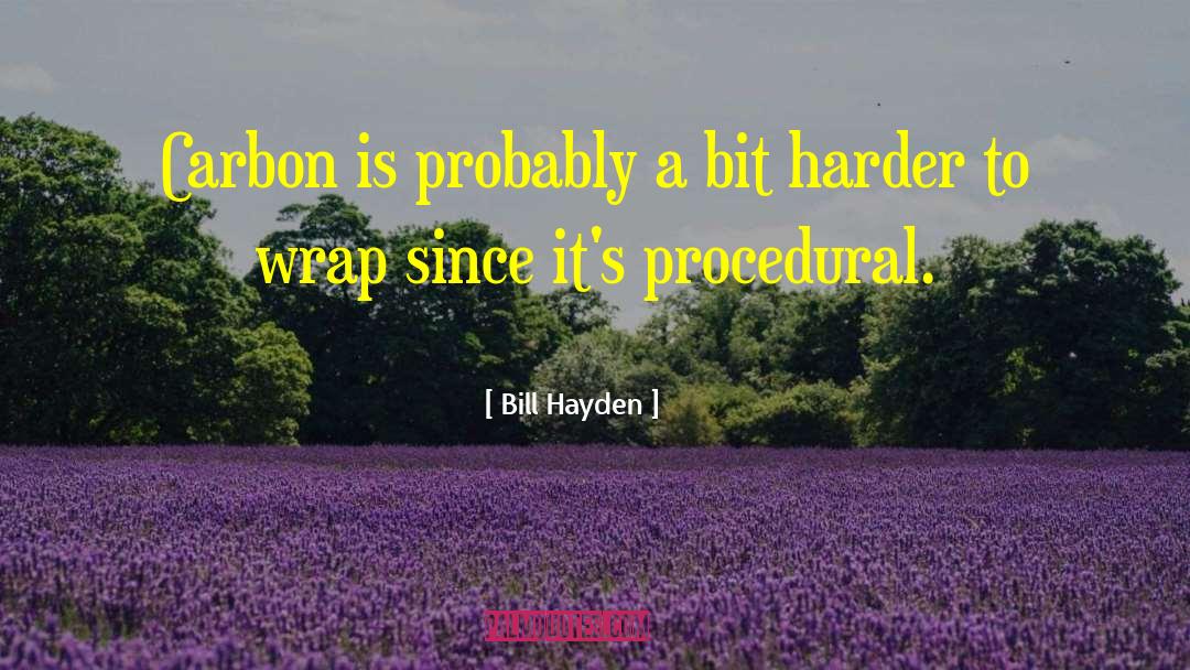 Bill Walton quotes by Bill Hayden