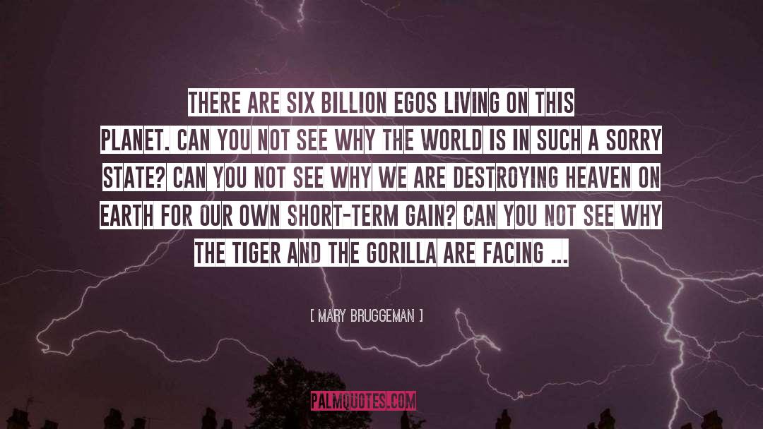 Billion quotes by Mary Bruggeman