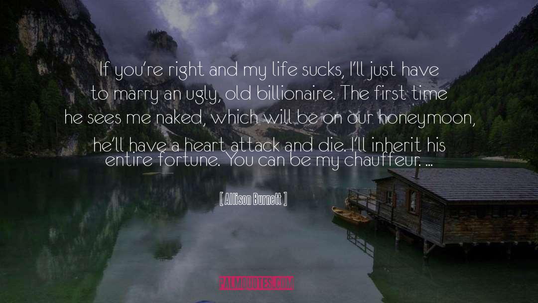 Billionaire quotes by Allison Burnett