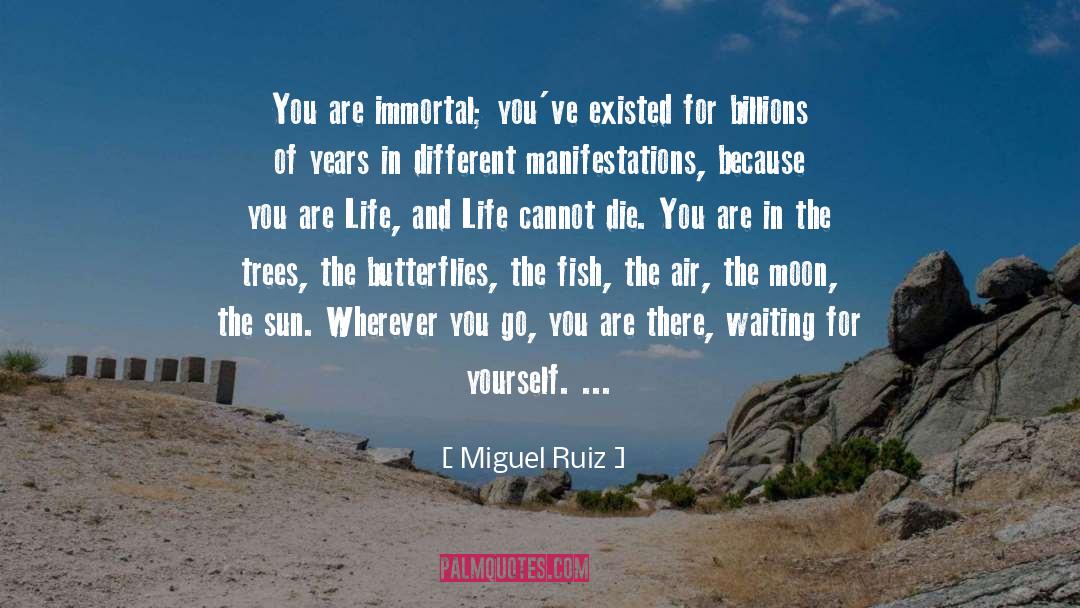 Billions Of Years quotes by Miguel Ruiz