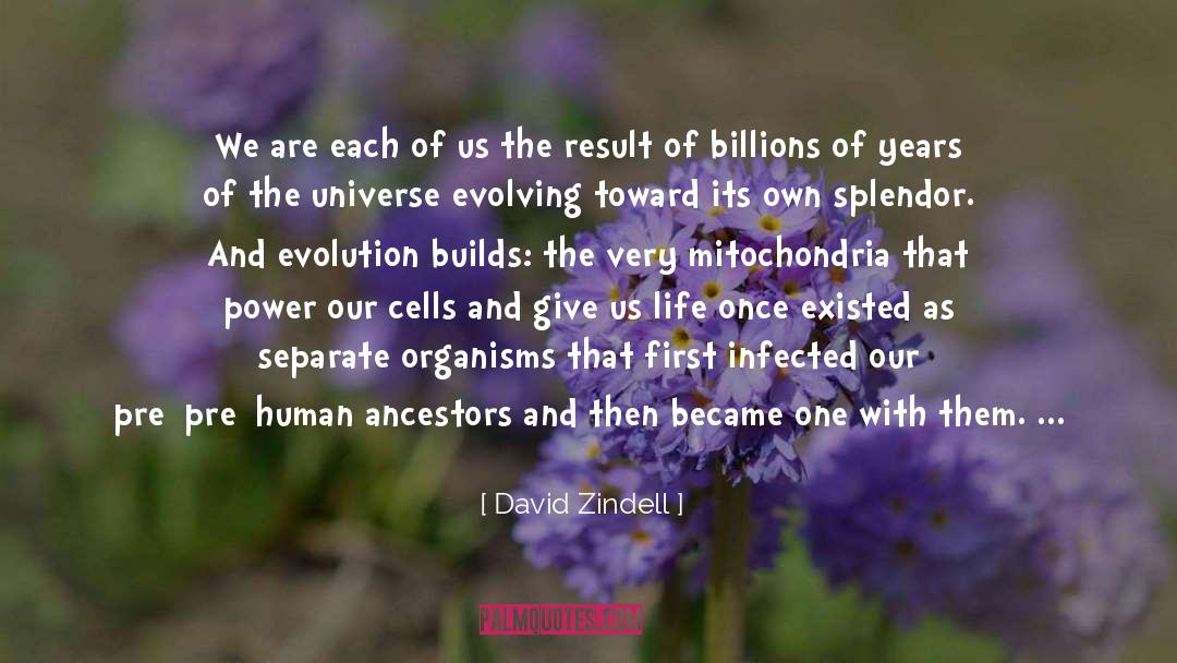 Billions Of Years quotes by David Zindell