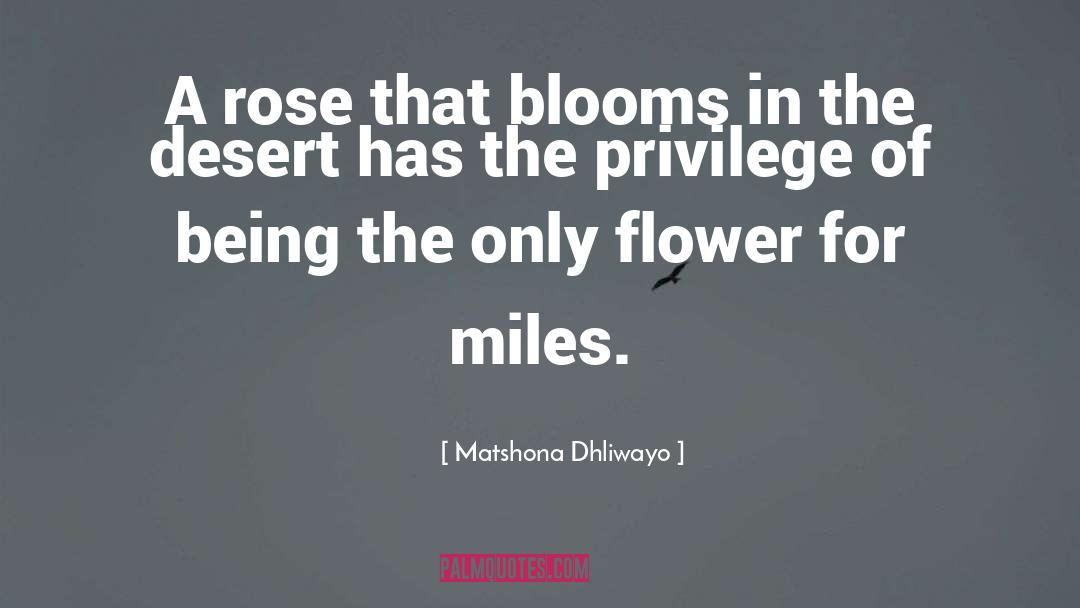 Billowing Blooms quotes by Matshona Dhliwayo
