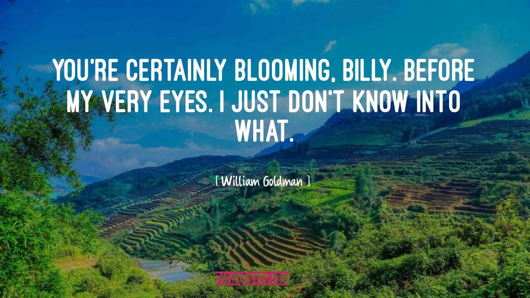 Billy Bathgate quotes by William Goldman