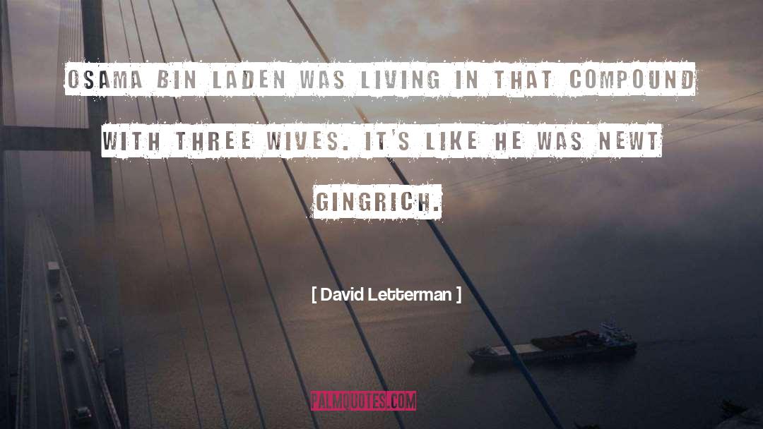 Bin Laden quotes by David Letterman