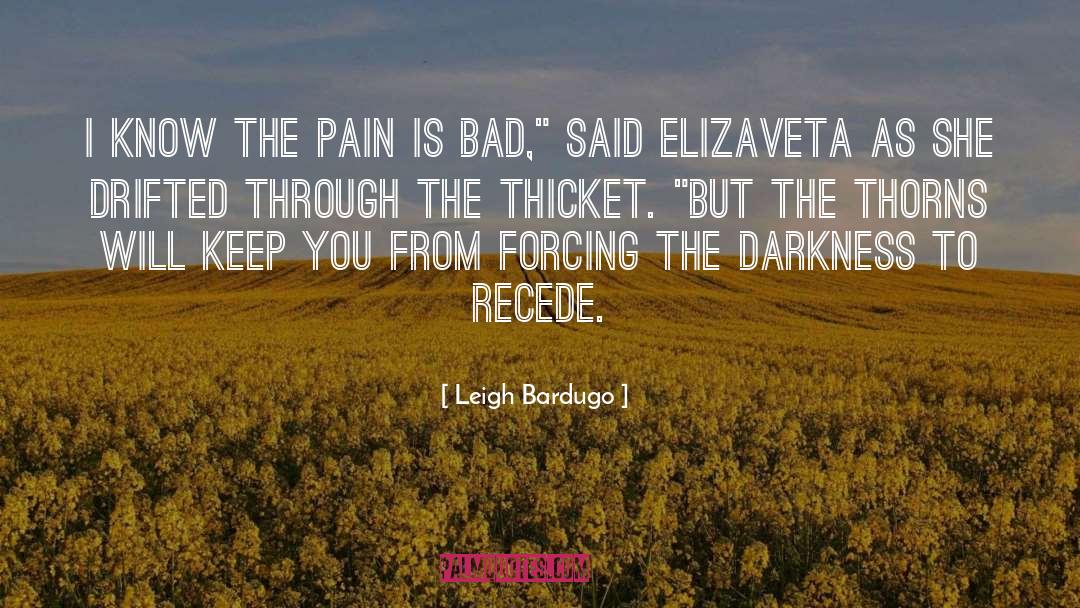 Bind To Darkness quotes by Leigh Bardugo