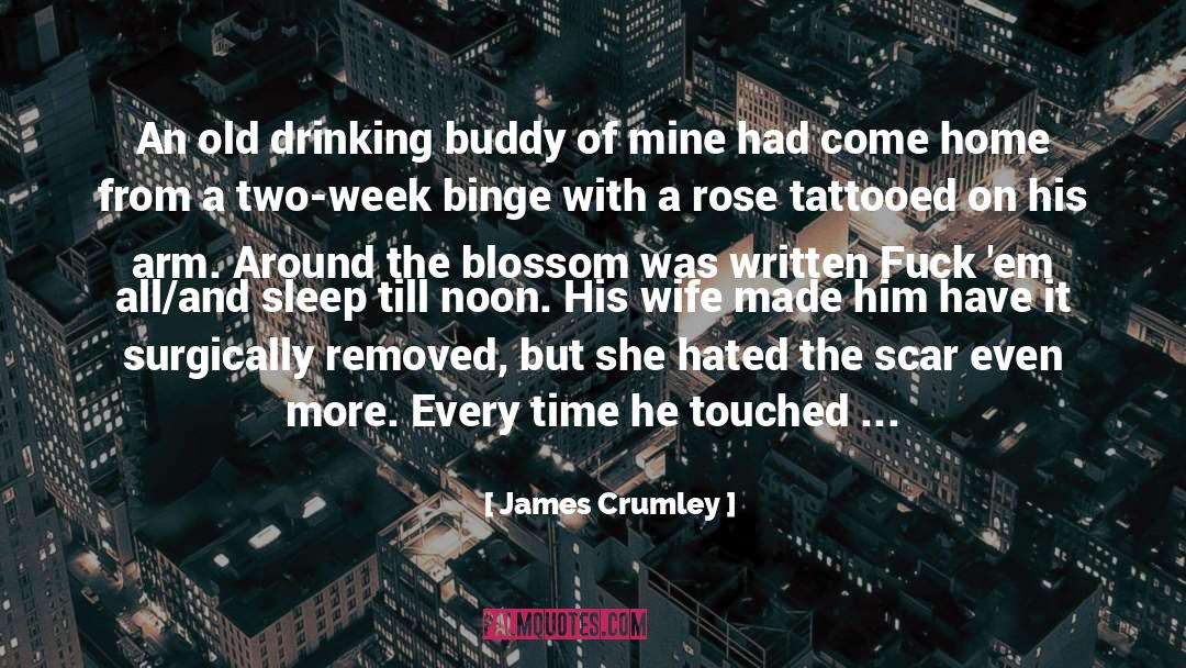 Binge quotes by James Crumley