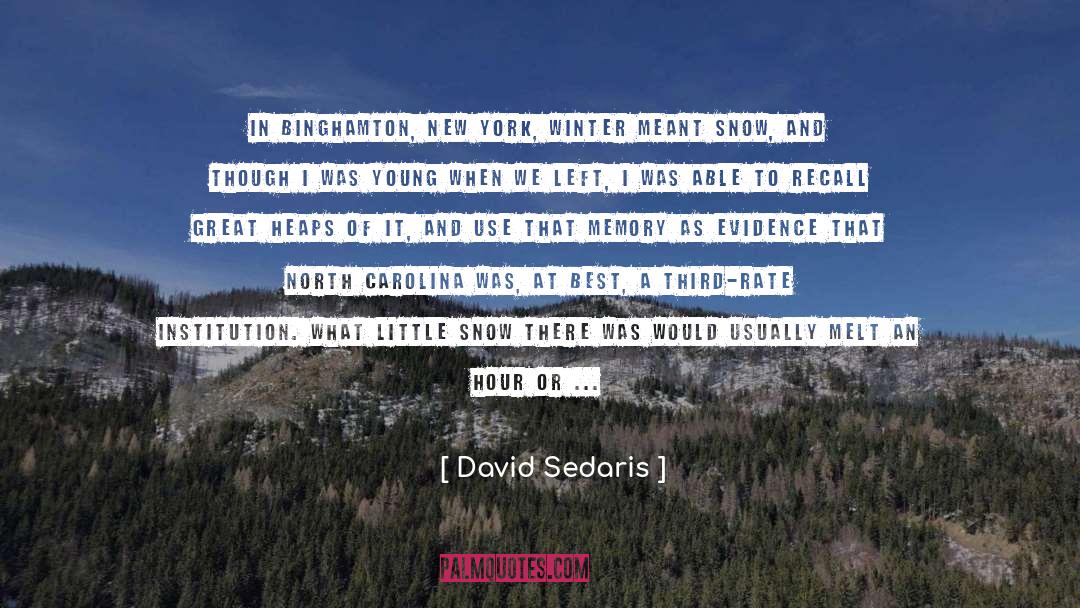 Binghamton quotes by David Sedaris