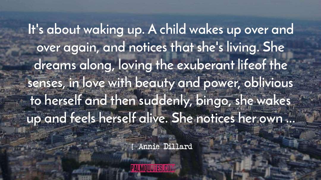 Bingo quotes by Annie Dillard