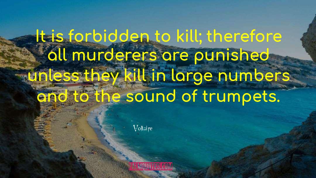 Binion Murder quotes by Voltaire