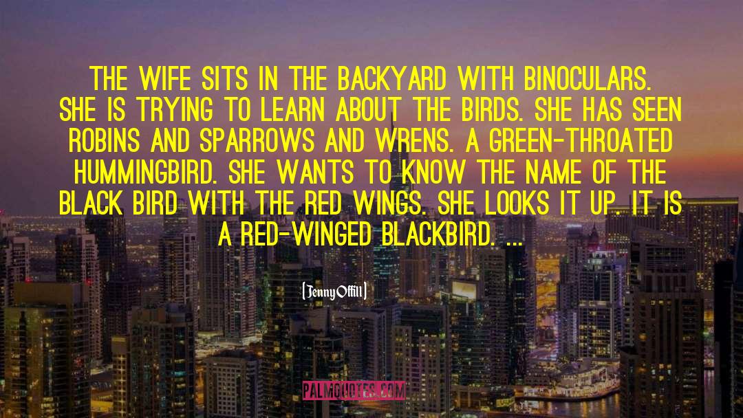 Binoculars quotes by Jenny Offill