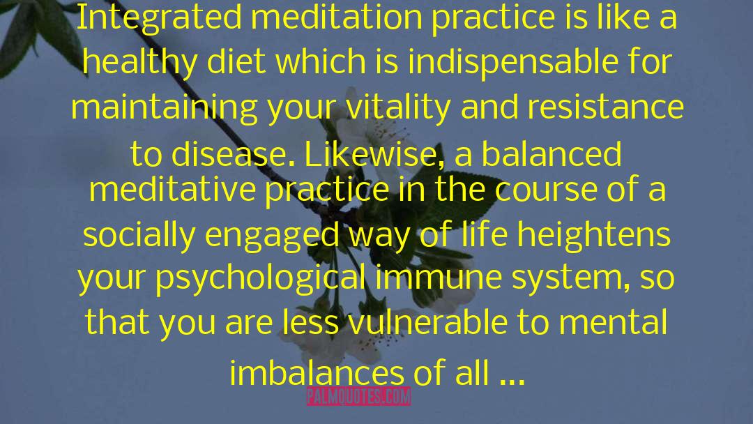 Biochemical Imbalance quotes by B. Alan Wallace