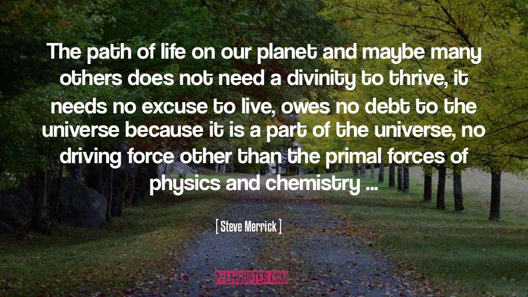 Biochemistry A Chemistry Of Life quotes by Steve Merrick