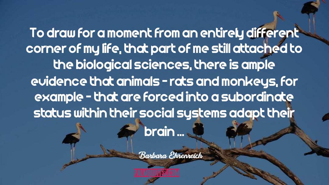 Biochemistry A Chemistry Of Life quotes by Barbara Ehrenreich