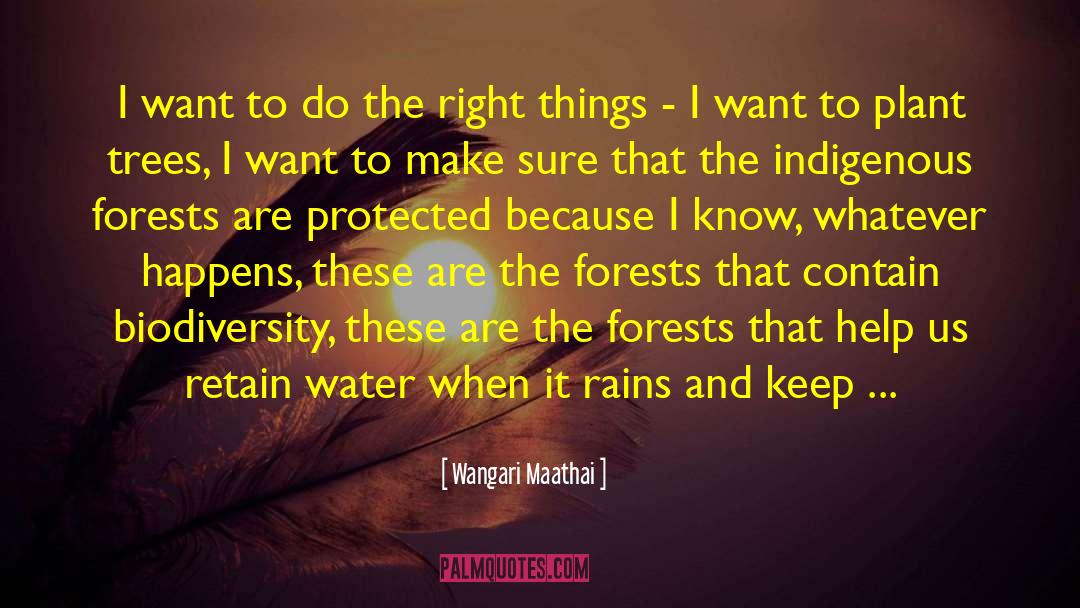 Biodiversity quotes by Wangari Maathai