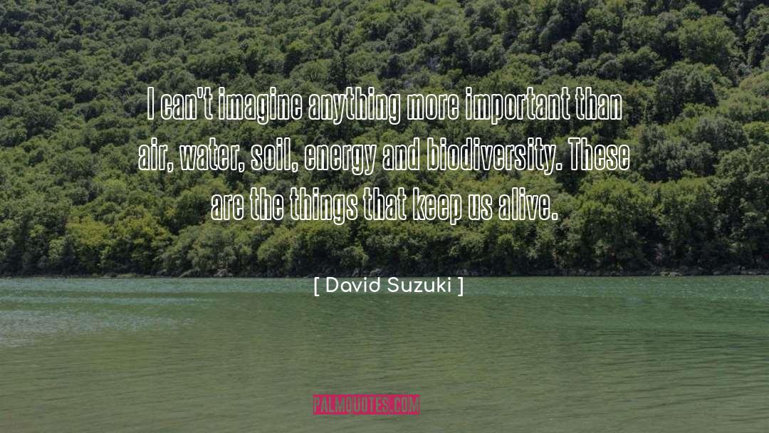 Biodiversity quotes by David Suzuki