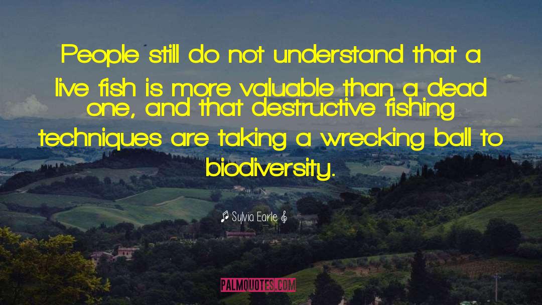 Biodiversity quotes by Sylvia Earle