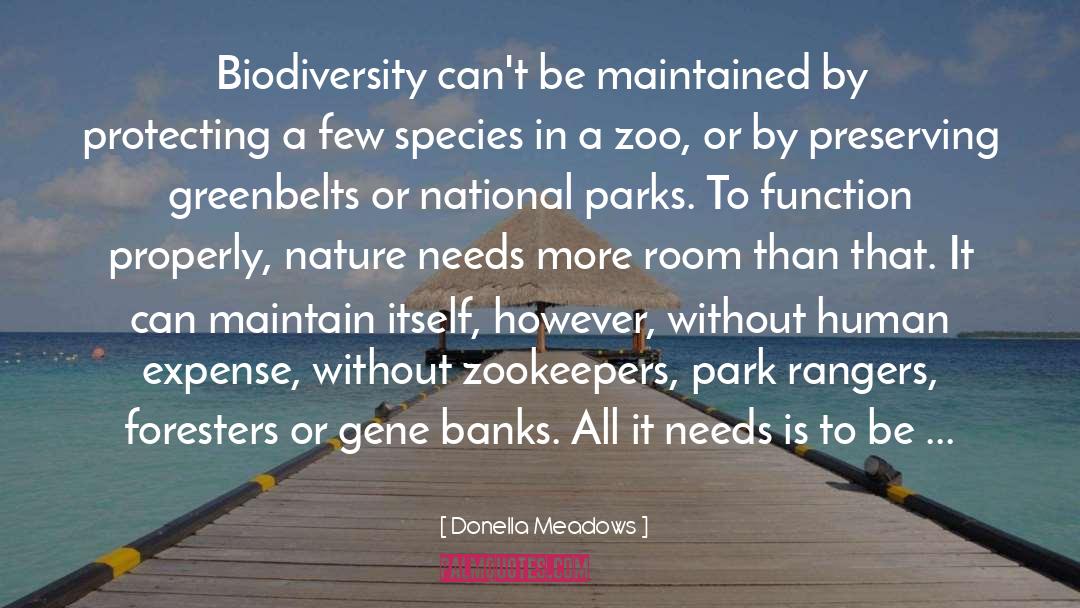 Biodiversity quotes by Donella Meadows
