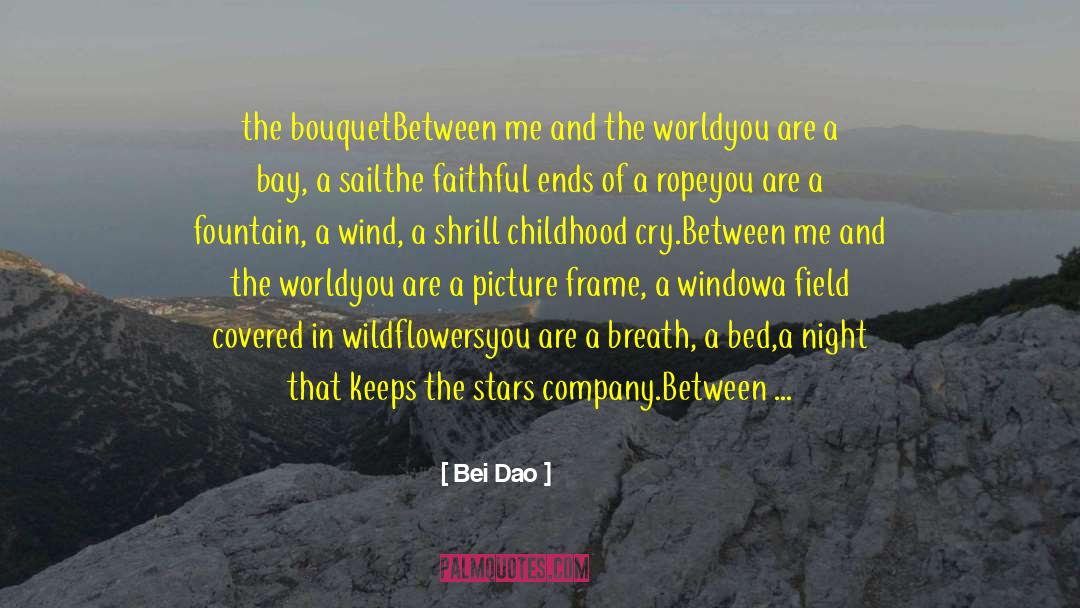 Biographical quotes by Bei Dao