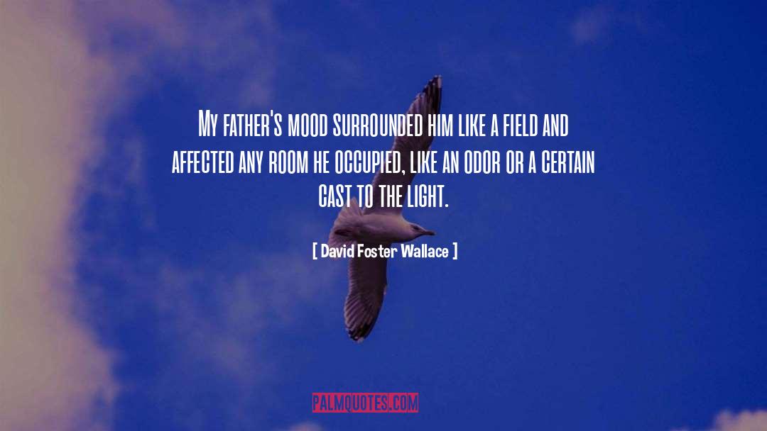 Biological Fathers quotes by David Foster Wallace