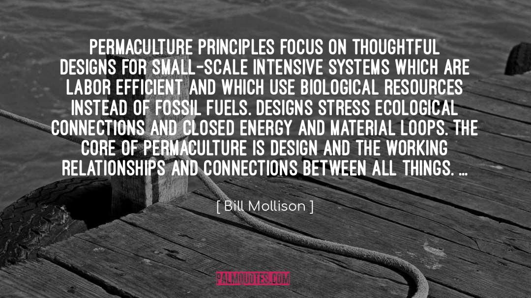 Biological Resources quotes by Bill Mollison