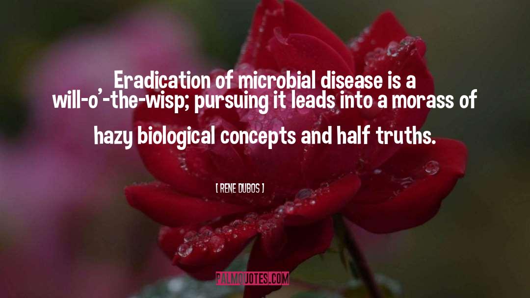 Biological Warfare quotes by Rene Dubos